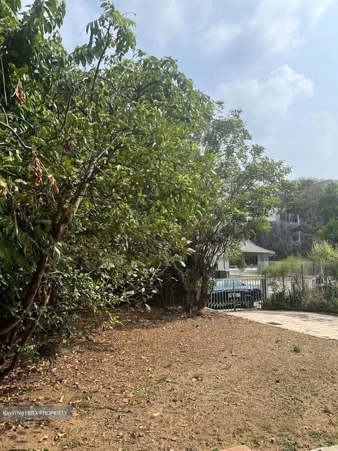 Spring Park Estate (D16), Semi-Detached #613098961